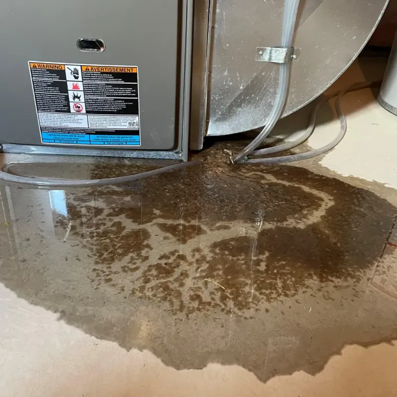 Appliance Leak Cleanup in Greenville, MO