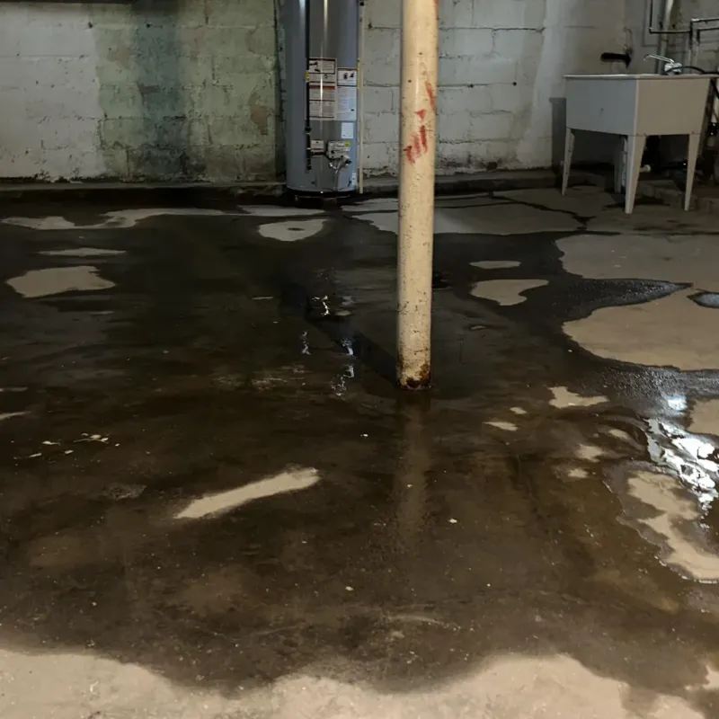 Emergency Water Extraction And Removal in Greenville, MO